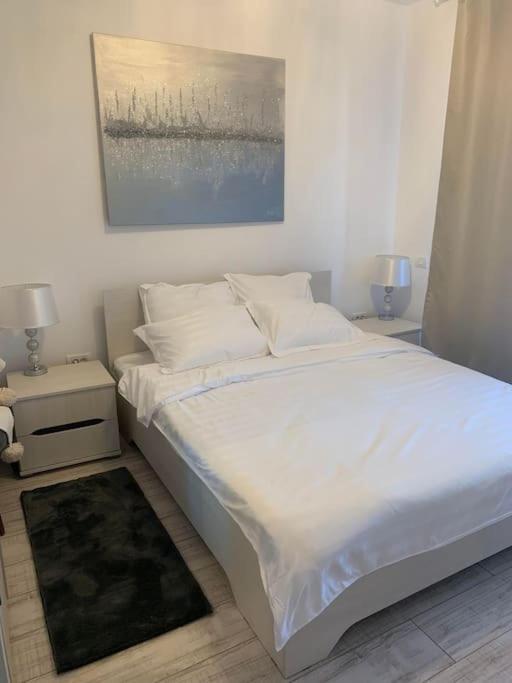 Cool Apartment Temeşvar Dış mekan fotoğraf